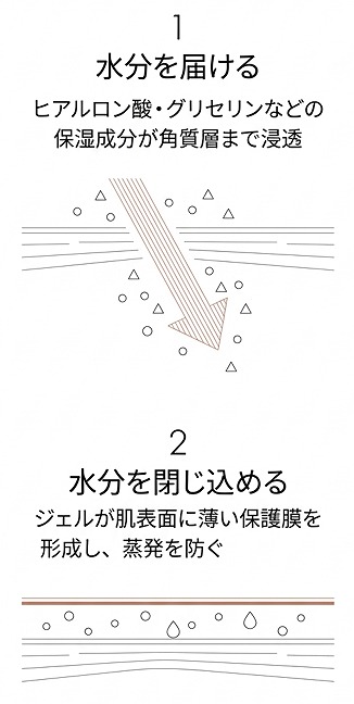 水分を「届ける＋閉じ込める」二段構えの仕組みのフロー図