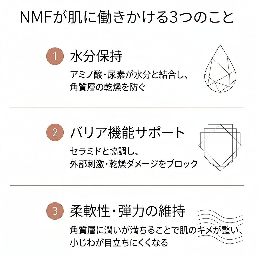 NMFの3つの効果（水分保持・バリア機能サポート・柔軟性維持）を視覚的に整理したフロー図