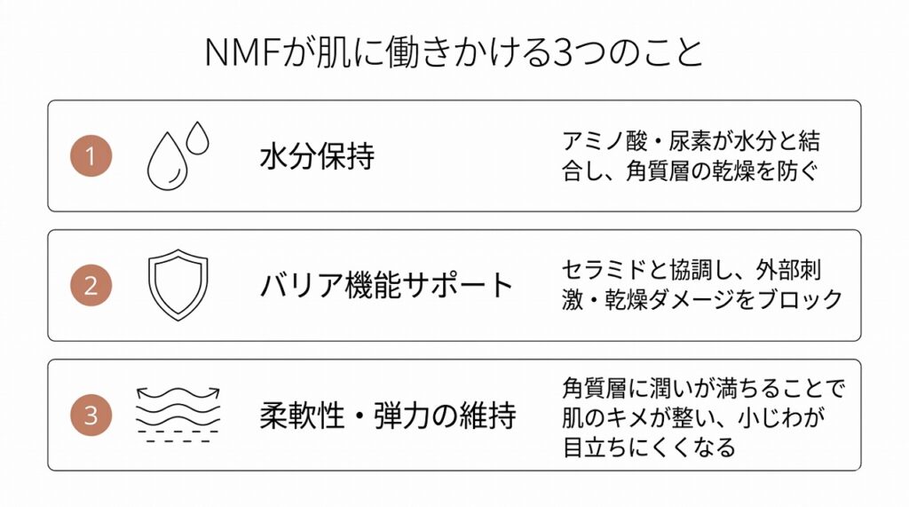 NMFの3つの効果（水分保持・バリア機能サポート・柔軟性維持）を視覚的に整理したフロー図