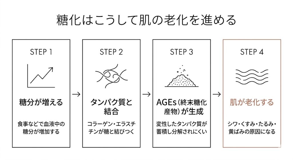 糖化のメカニズム（糖＋コラーゲン→AGEs生成→シワ・くすみ）をフロー図で示す