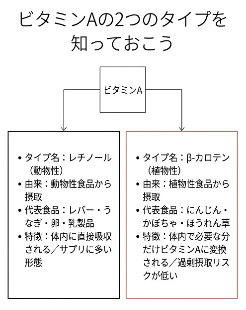 ビタミンAの種類（レチノール・β-カロテン）とそれぞれの特徴・食品例をフロー図で示す