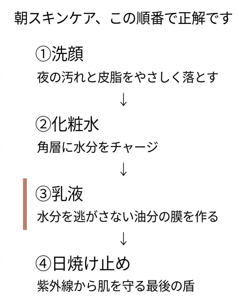 朝スキンケア4ステップ（洗顔→化粧水→乳液→日焼け止め）のフロー図