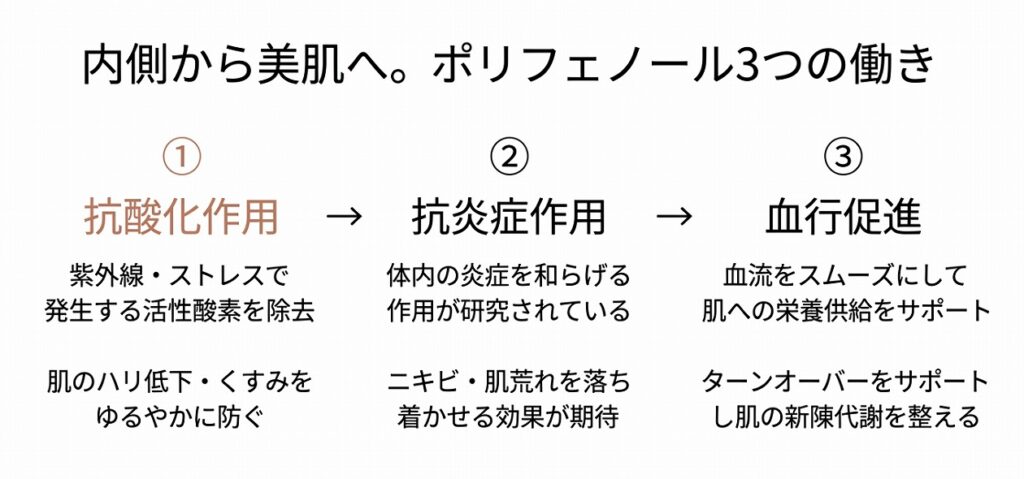 抗酸化作用①・抗炎症作用②・血行促進③の3つの美肌メカニズムをフロー図で示す