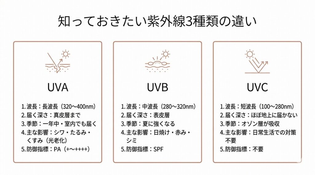 UVA・UVB・UVCの3種類の違いを横並びカードで視覚化