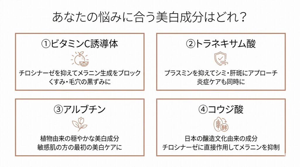 ビタミンC誘導体・トラネキサム酸・アルブチン・コウジ酸の4成分を横並びカード型で比較