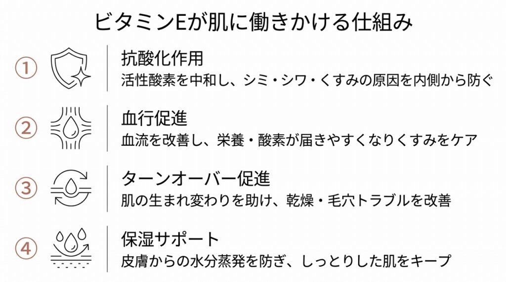 ビタミンEの4つの美肌効果（①抗酸化→②血行促進→③ターンオーバー→④保湿）をフロー図で表現