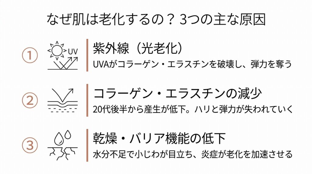 肌老化の3大要因（紫外線・コラーゲン減少・乾燥）を図で示す