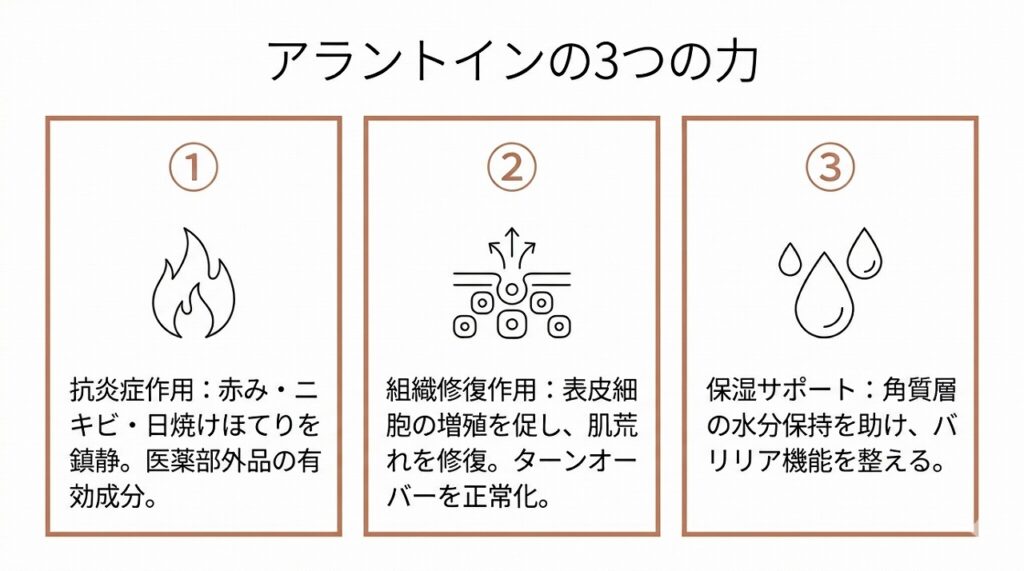 アラントインの3つの効果（抗炎症・組織修復・保湿サポート）を横並びカード型で図示