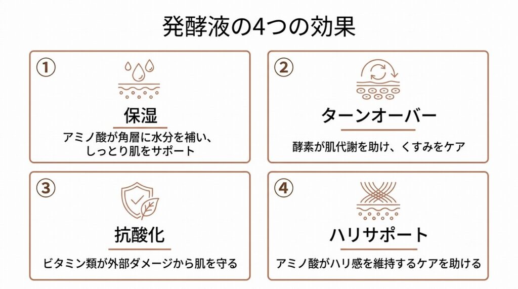 発酵液の4つの効果(保湿・ターンオーバーサポート・抗酸化・ハリサポート)を1枚でまとめた図解