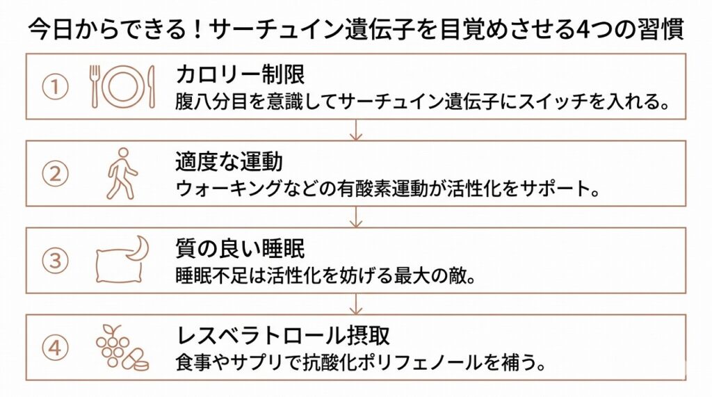 サーチュイン遺伝子を活性化する4つのアプローチ（カロリー制限・適度な運動・良質な睡眠・レスベラトロール摂取）をカード型で縦並び表示